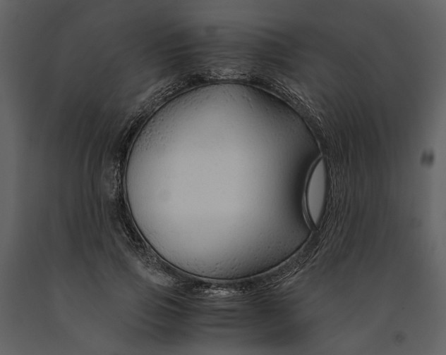 X0000090960741200708241152