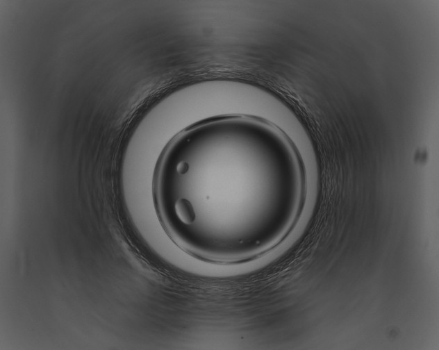 X0000090960742200708241152