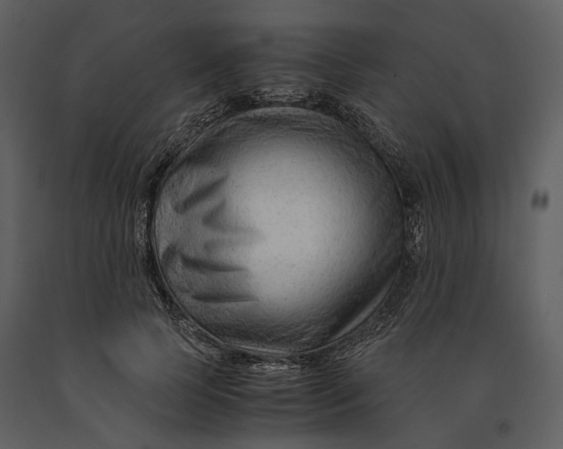 X0000090960745200708241152