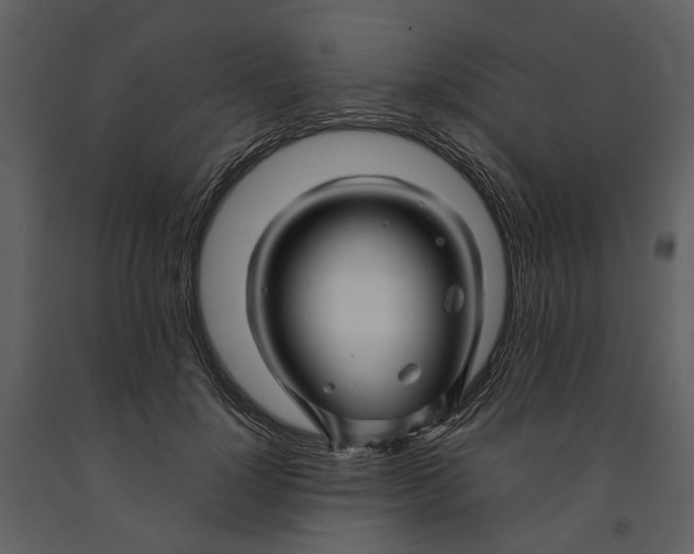 X0000090960748200708241152