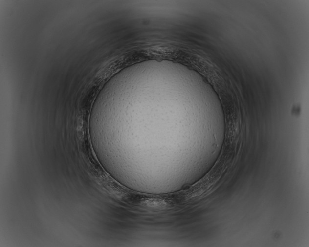 X0000090960749200708241152