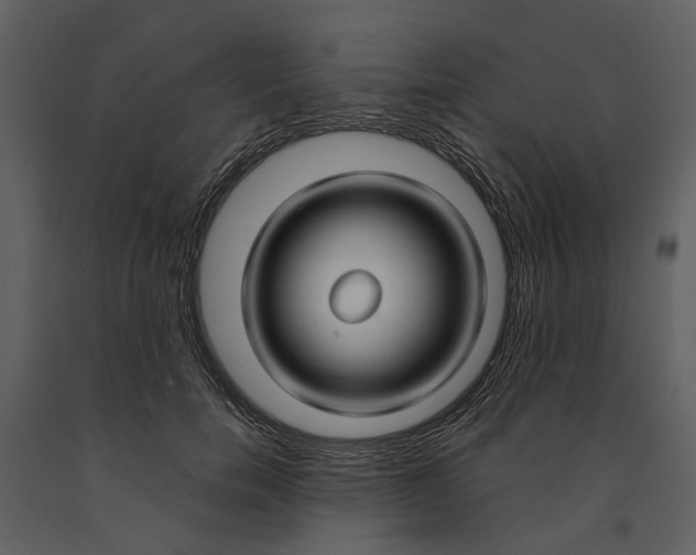 X0000090960750200708241152