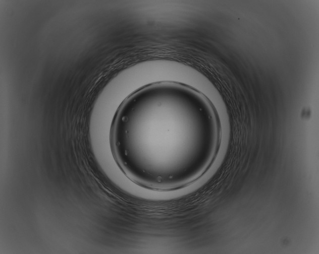 X0000090960752200708241152