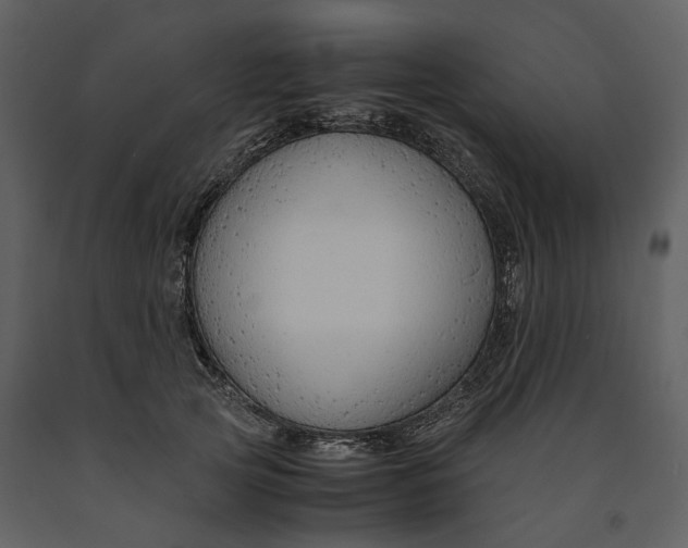 X0000090960753200708241152