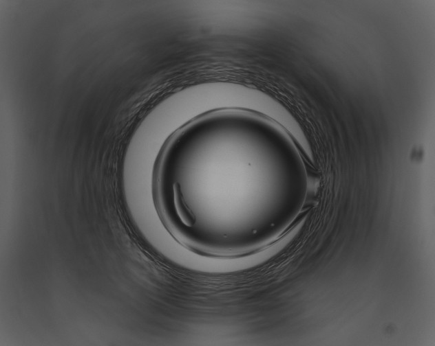 X0000090960754200708241152