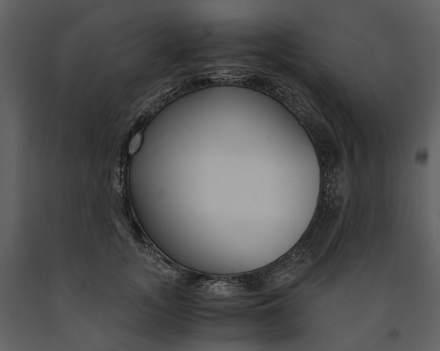 X0000090960755200708241152