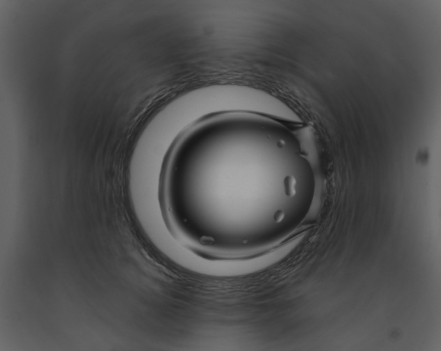 X0000090960756200708241152