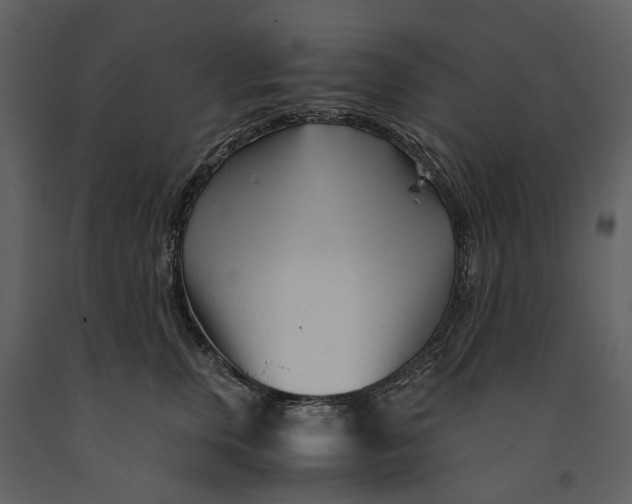 X0000090960759200708241152