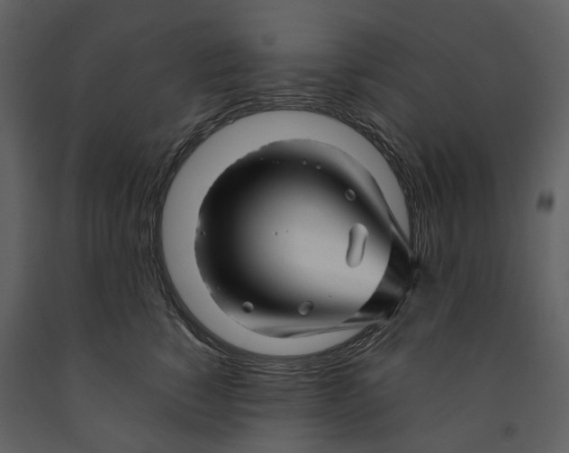 X0000090960760200708241152