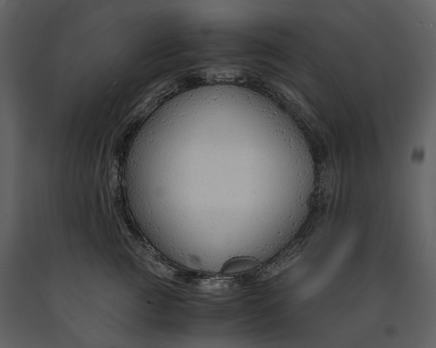 X0000090960761200708241152