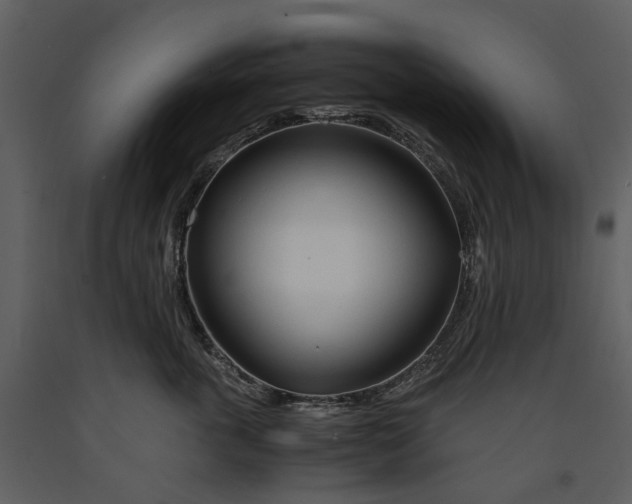 X0000090960763200708241152