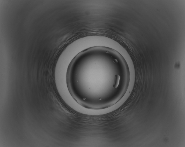 X0000090960764200708241152