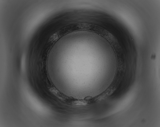 X0000090960765200708241152