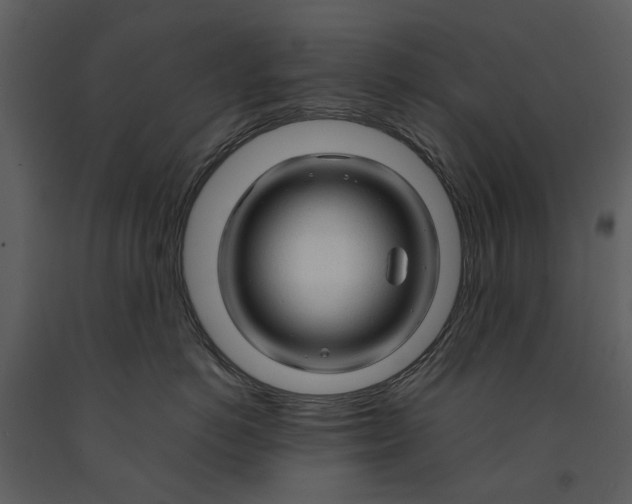 X0000090960766200708241152