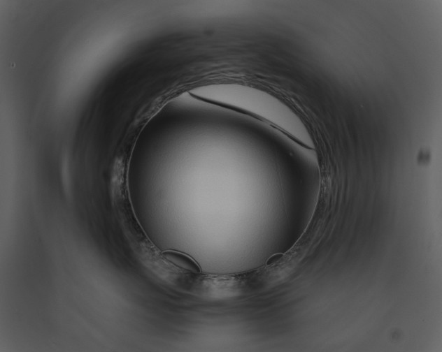 X0000090960767200708241152