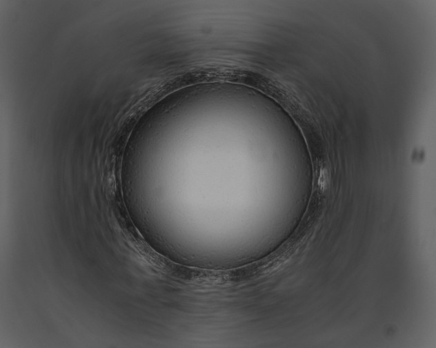 X0000090960771200708241152