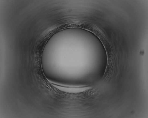 X0000090960773200708241152