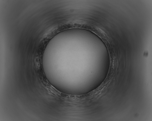 X0000090960774200708241152