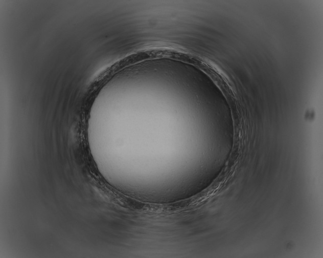 X0000090960775200708241151