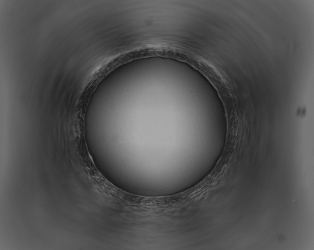 X0000090960776200708241151