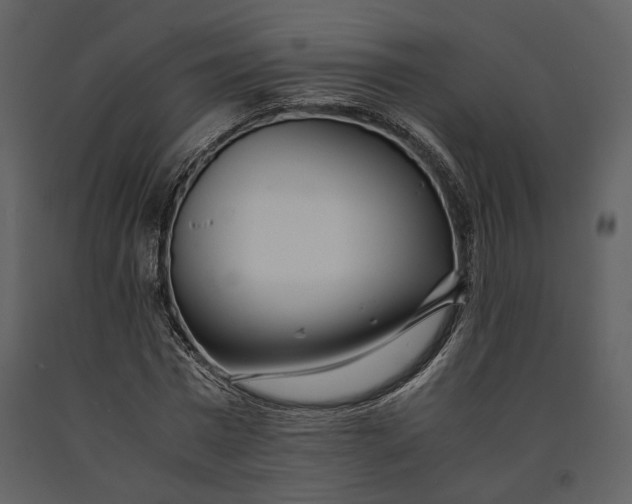 X0000090960777200708241151
