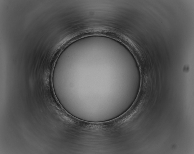 X0000090960778200708241151