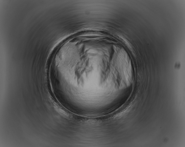 X0000090960779200708241151