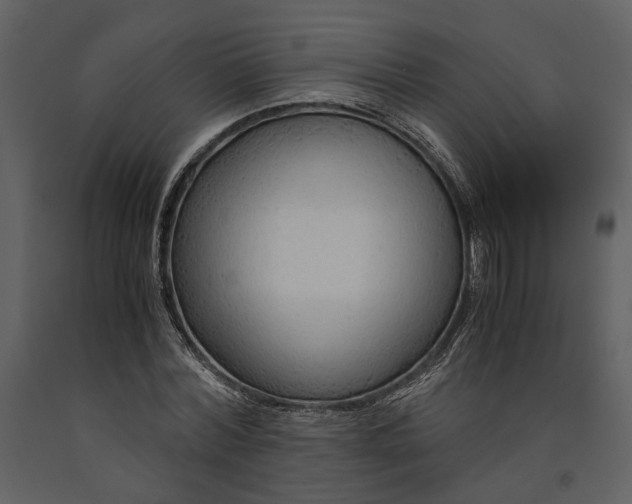 X0000090960780200708241151