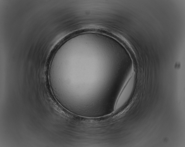 X0000090960783200708241151