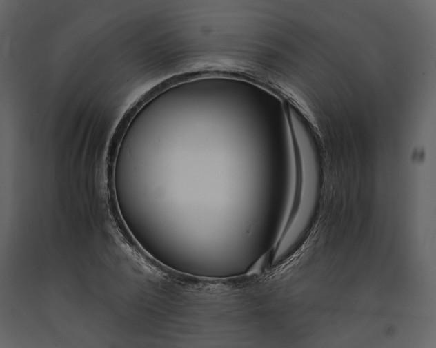 X0000090960784200708241151