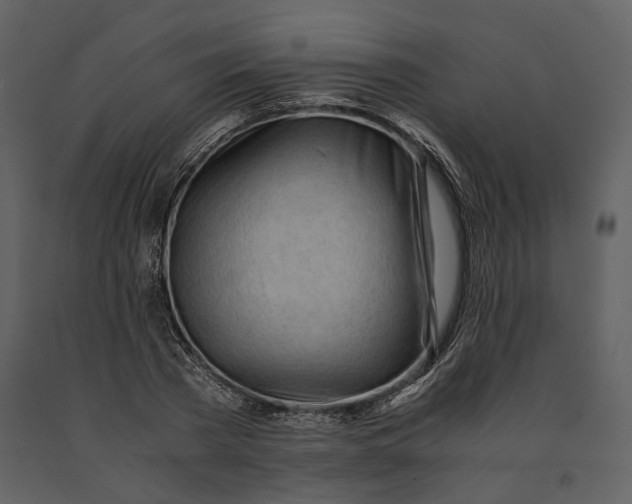X0000090960785200708241151