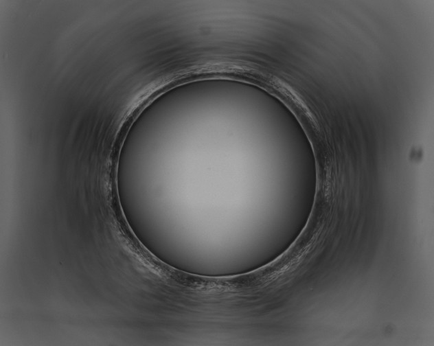 X0000090960786200708241151