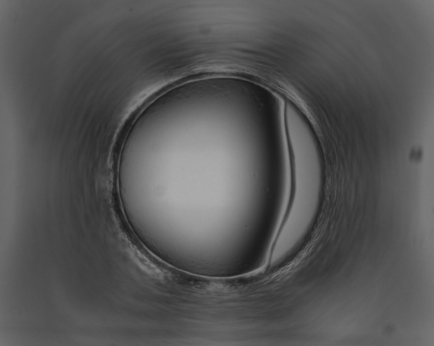 X0000090960787200708241151