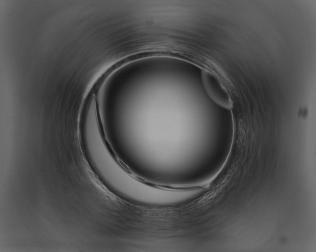 X0000090960788200708241151