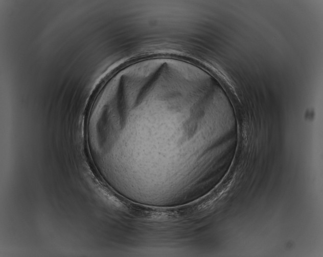 X0000090960790200708241151