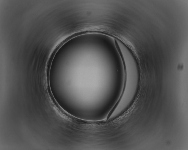 X0000090960792200708241151