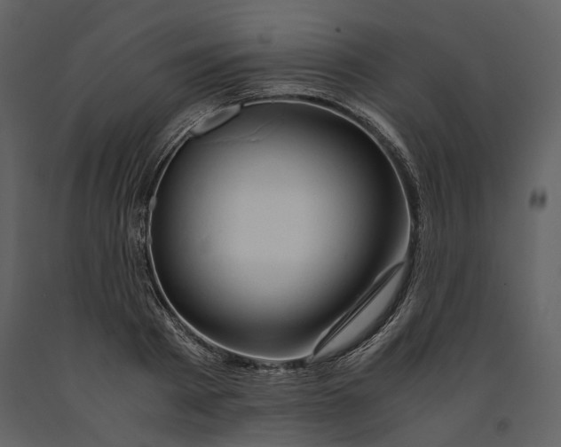 X0000090960793200708241151