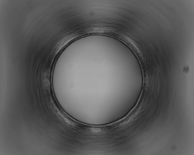 X0000090960794200708241151