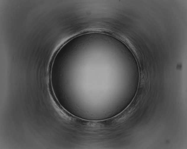 X0000090960795200708241151