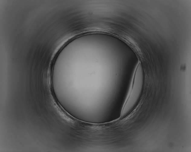 X0000090960796200708241151