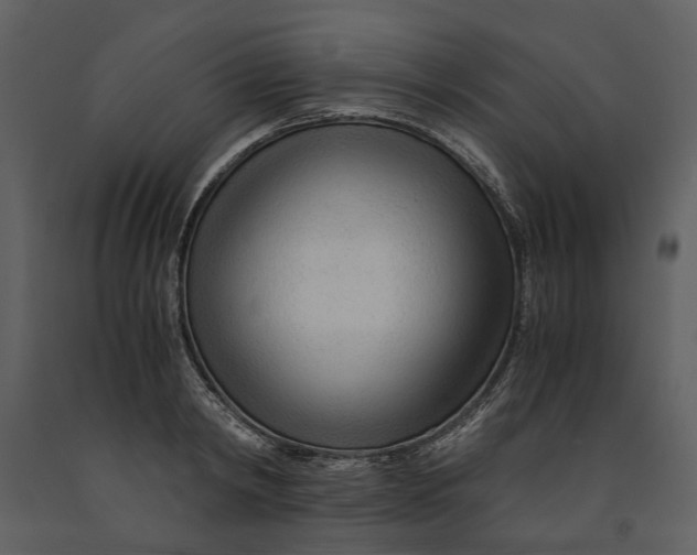 X0000090960798200708241151