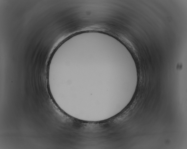 X0000090960800200708241151