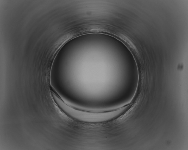 X0000090960801200708241151