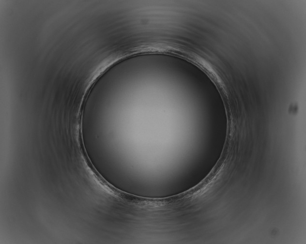 X0000090960802200708241151