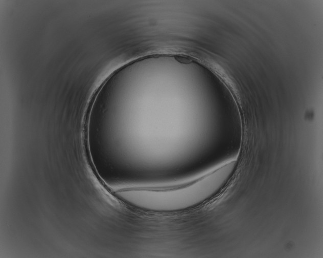X0000090960803200708241151