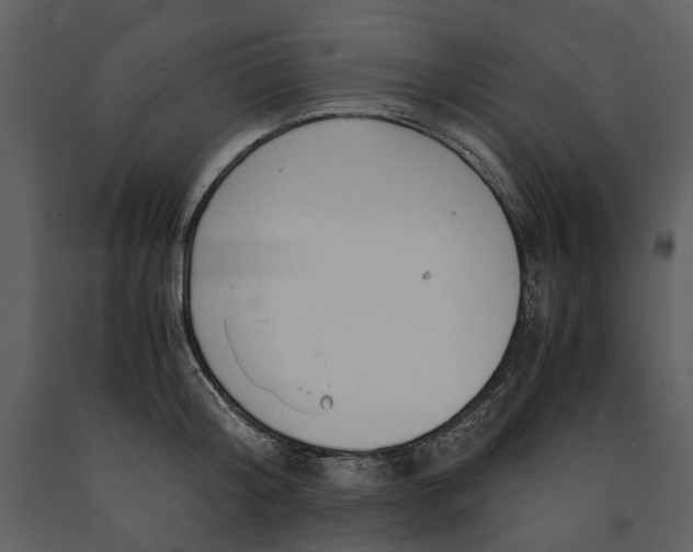 X0000090960804200708241151
