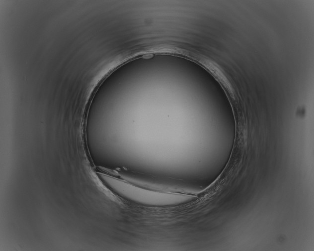 X0000090960805200708241151