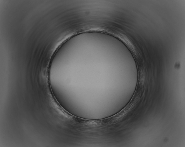 X0000090960806200708241151