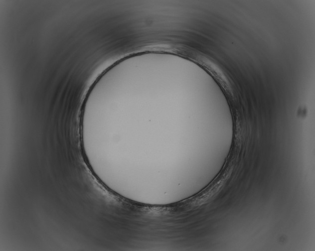 X0000090960808200708241151