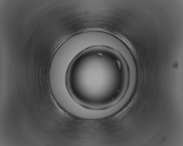 X0000090960809200708241151